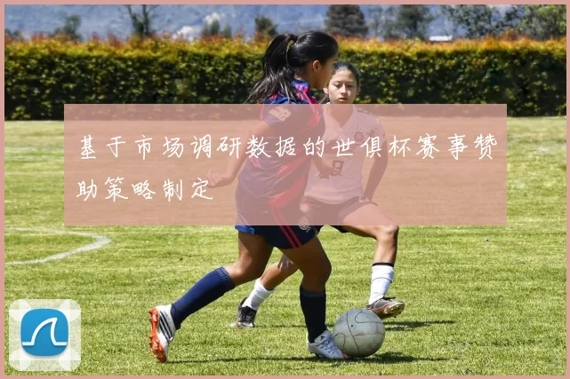 基于市场调研数据的世俱杯赛事赞助策略制定