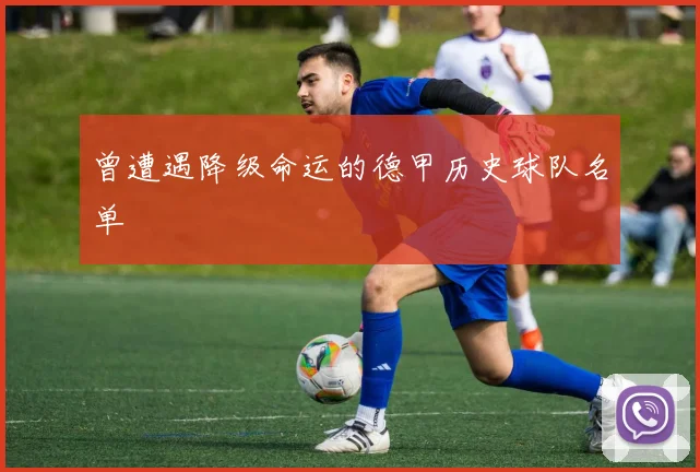 曾遭遇降级命运的德甲历史球队名单