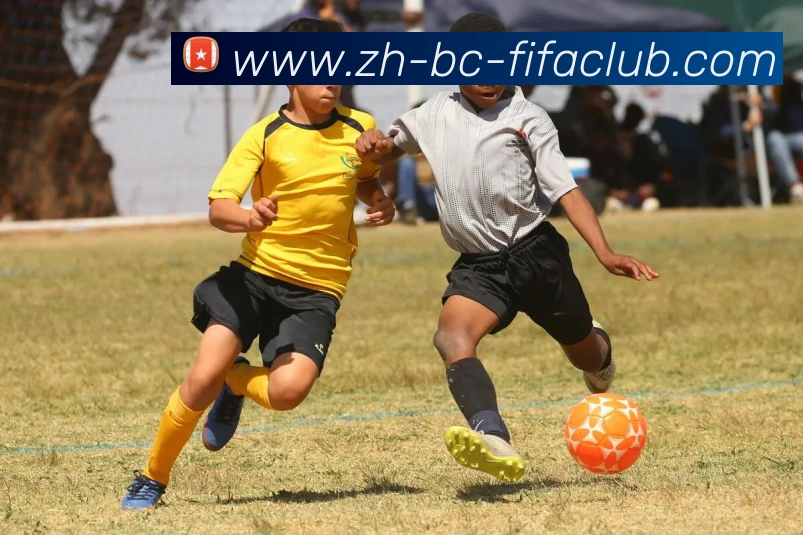 世界杯买球平台生态图