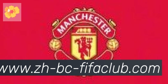 世界杯买球合作伙伴