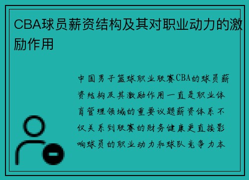 CBA球员薪资结构及其对职业动力的激励作用